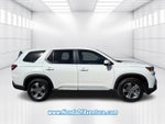 2024 Honda Pilot EX-L 7 Passenger